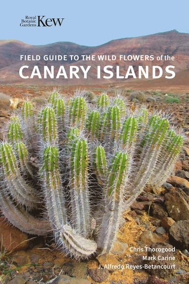 bokomslag Field Guide to the Wild Flowers of the Canary Islands