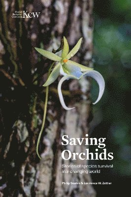 bokomslag Saving Orchids