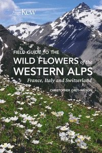 bokomslag Field Guide to the Wild Flowers of the Western Alps