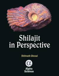 bokomslag Shilajit in Perspective