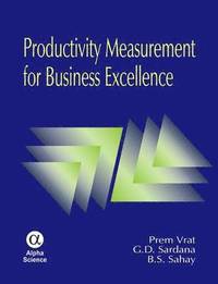 bokomslag Productivity Measurement for Business Excellence