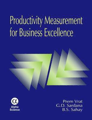 Productivity Measurement for Business Excellence 1