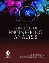 bokomslag Principles of Engineering Analysis