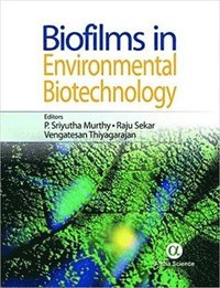 bokomslag Biofilms in Environmental Biotechnology