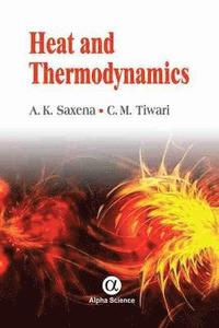 bokomslag Heat and Thermodynamics