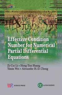 bokomslag Effective Condition Number for Numerical Partial Differential Equations
