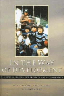 Mario Blaser, Glenn McRae, Harvey Feit - In the Way of Development, Häftad