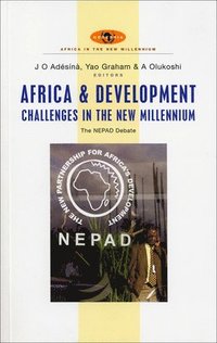 bokomslag Africa and Development Challenges in the New Millennium