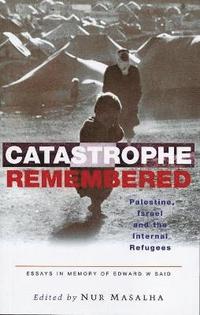bokomslag Catastrophe Remembered
