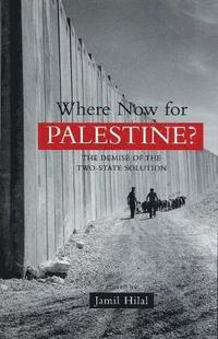 bokomslag Where Now for Palestine?: The Demise of the Two-State Solution