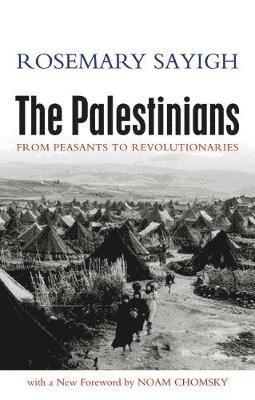 The Palestinians 1