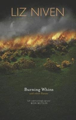 bokomslag Burning Whins