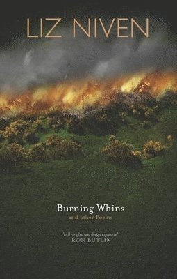 bokomslag Burning Whins