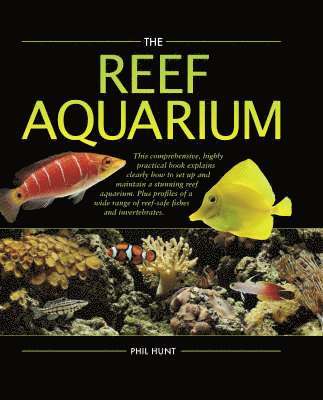 Reef Aquarium