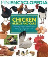 bokomslag Mini Encyclopedia of Chicken Breeds and Care