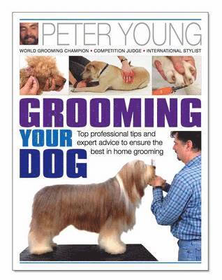Grooming Your Dog