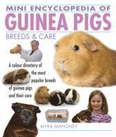 bokomslag Mini Encyclopedia of Guinea Pigs Breeds and Care