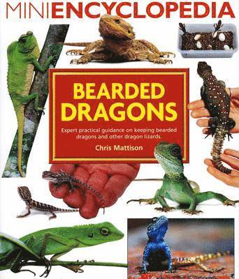 Christopher Mattison - Mini Encyclopedia of Bearded Dragons, Häftad