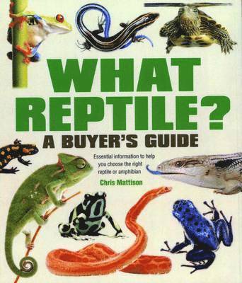 Mattison, C: What Reptile? A Buyer's Guide