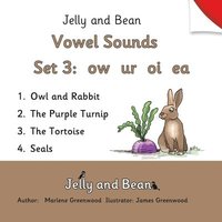 bokomslag Vowel Sounds Set 3