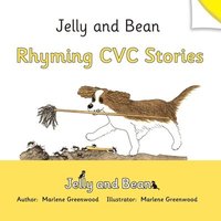 bokomslag Rhyming CVC Stories