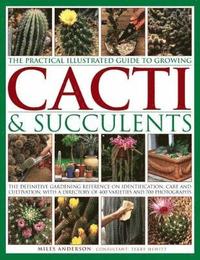 bokomslag Practical Illustrated Guide to Growing Cacti & Succulents