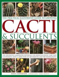 bokomslag Practical Illustrated Guide to Growing Cacti & Succulents