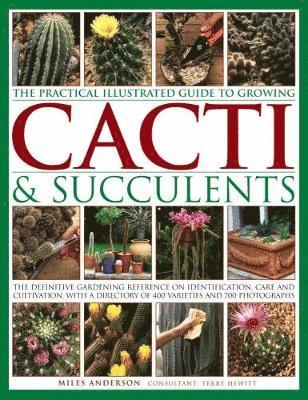 Miles Anderson, Terry Hewitt - Practical Illustrated Guide to Growing Cacti & Succulents, Inbunden