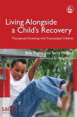 bokomslag Living Alongside a Child's Recovery