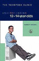 Margot Waddell - Understanding 12-14-Year-Olds, Häftad
