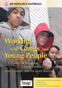bokomslag Working with Gangs and Young People