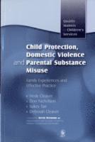 bokomslag Child Protection, Domestic Violence and Parental Substance Misuse