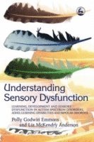 bokomslag Understanding Sensory Dysfunction