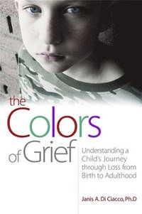 bokomslag Colors of Grief