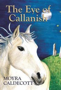 bokomslag The Eye of Callanish