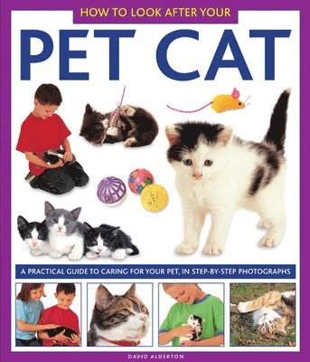 bokomslag How to Look After Your Pet Cat