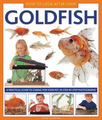 bokomslag How to Look After Your Goldfish