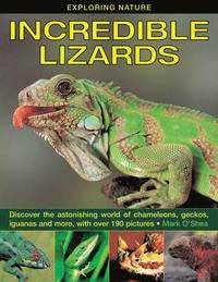 bokomslag Exploring Nature: Incredible Lizards
