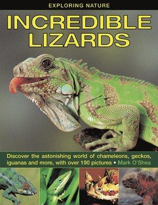 Exploring Nature: Incredible Lizards