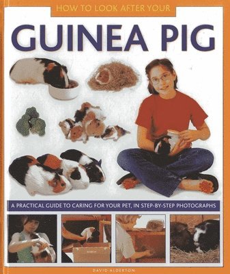 David Alderton - How to Look After Your Guinea Pig, Inbunden