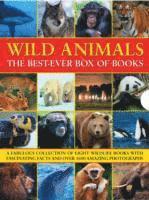 Wild Animals Best Ever Box of Books 1