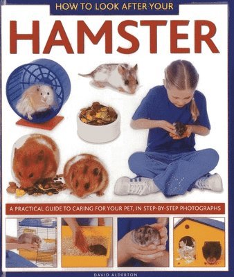 David Alderton - How to Look After Your Hamster, Inbunden