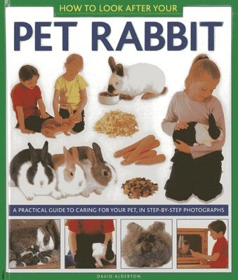 David Alderton - How to Look After Your Pet Rabbit, Inbunden