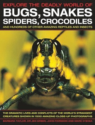 Barbara Taylor, Jen Green, John Farndon, Mark O'Shea, Dr Jen Green - Explore the Deadly World of Bugs, Snakes, Spiders, Crocodiles, Häftad
