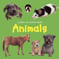 bokomslag Animals
