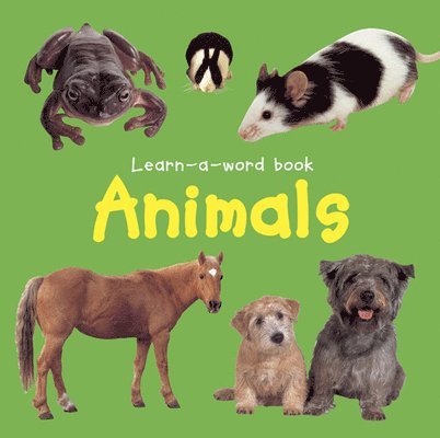 Learn-a-word Book: Animals 1