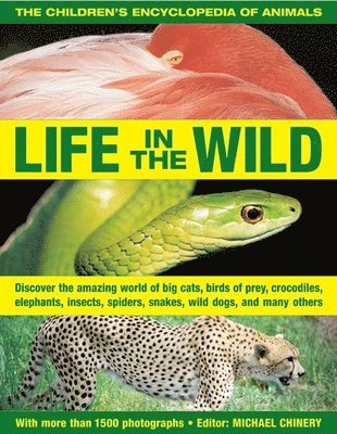 Michael Chinery - Children's Encyclopedia of Animals: Life in the Wild, Häftad