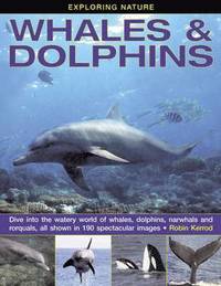 bokomslag Exploring Nature: Whales & Dolphins