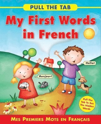 Delany Sally - Pull the Tab: My First Words in French, Kartonnage
