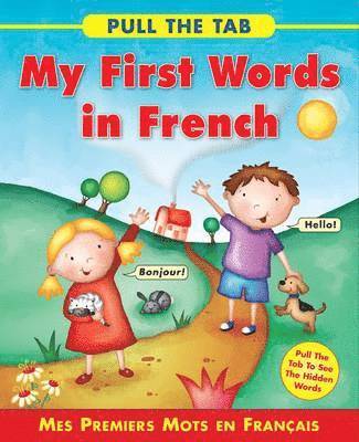 Delany Sally, Sally Delaney - Pull the Tab: My First Words in French, Kartonnage